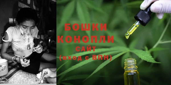 стафф Осташков