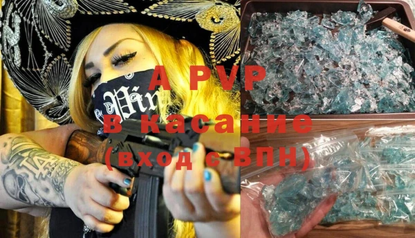 ГАЛЛЮЦИНОГЕННЫЕ ГРИБЫ Аркадак