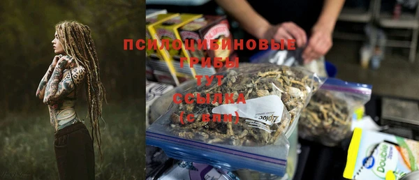 ГАЛЛЮЦИНОГЕННЫЕ ГРИБЫ Аркадак
